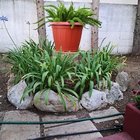 Casa Dolce Casa By Salento Com Daire